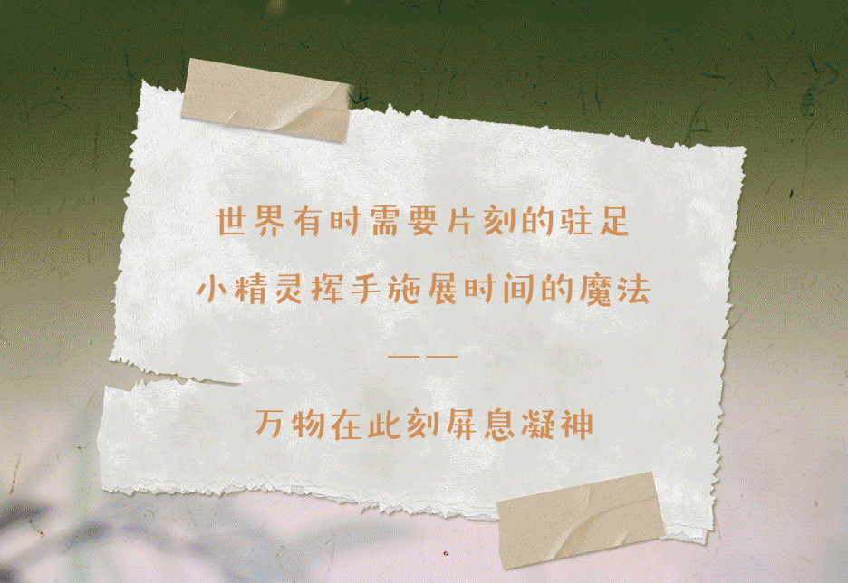648e9e13-c7e3-4121-8713-77508f8cf1c9