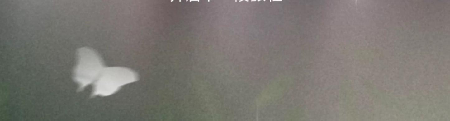 c620f637-5083-4144-b9ab-d38c10b3123d