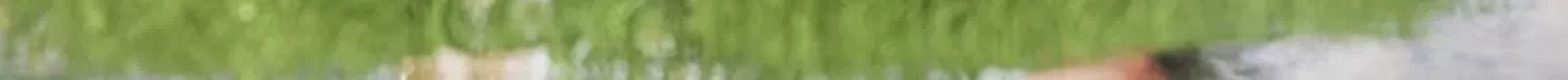 e8f2efe9-2ea8-49e8-aa5d-868d4a23fe77
