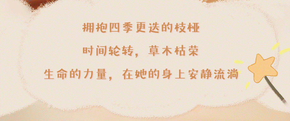 c945f08d-8f3d-46d4-8881-4dfe0f357f8f
