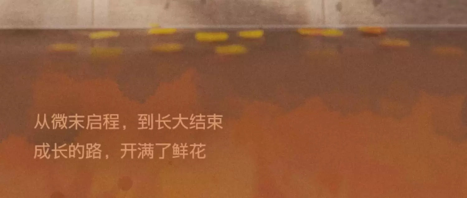 2835b091-6d8b-4e0f-9c50-924b701fc0f9